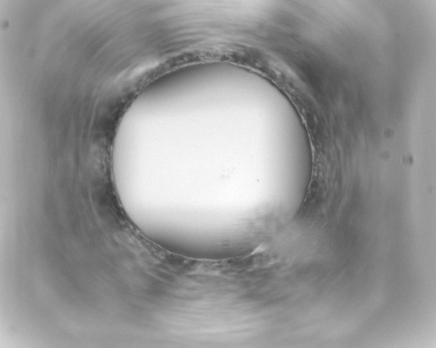 X0000088150773200705291422