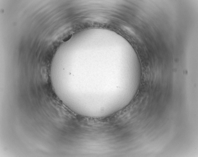 X0000088150774200705291422