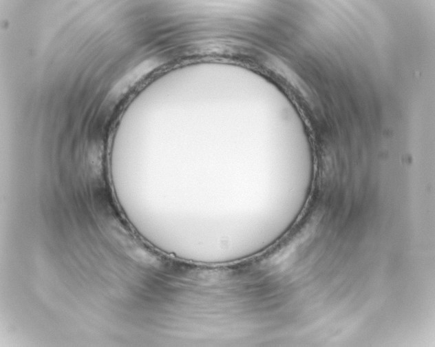 X0000088150778200705291422