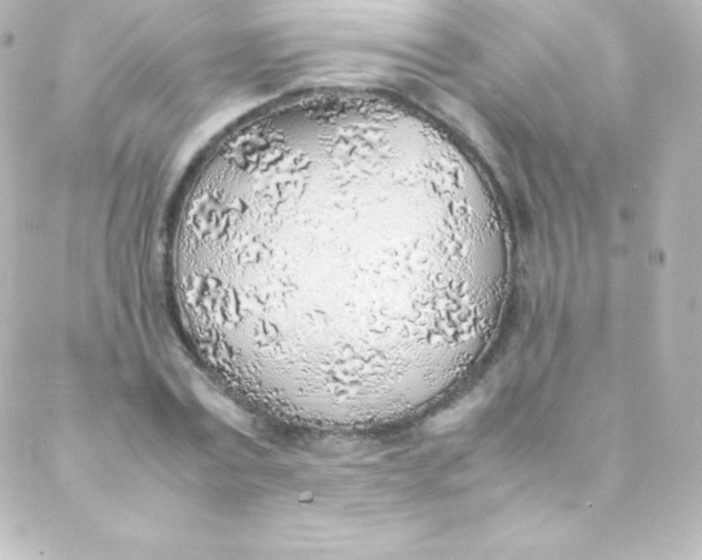 X0000088150779200705291422