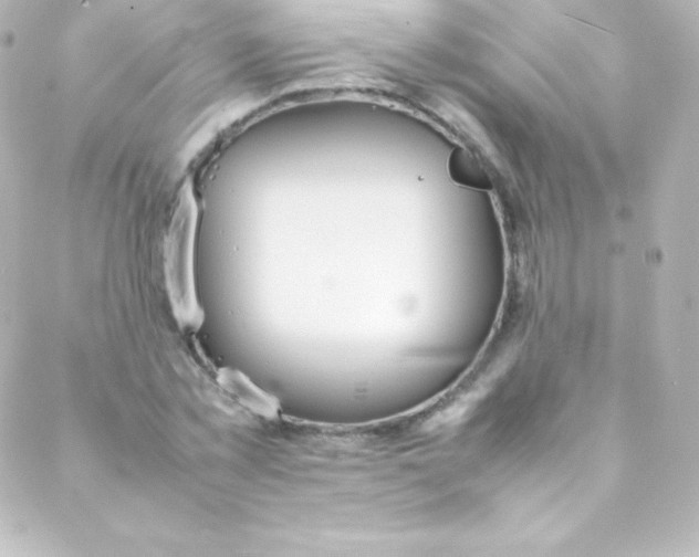 X0000088150781200705291422