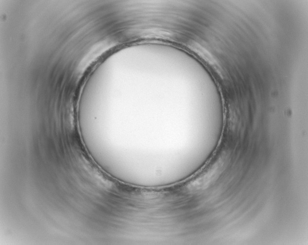 X0000088150782200705291421