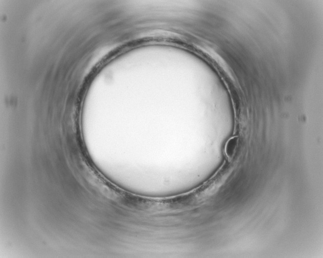 X0000088150783200705291421