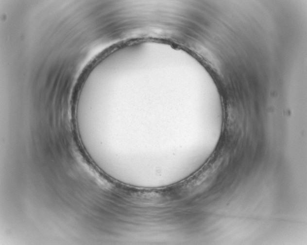 X0000088150784200705291421