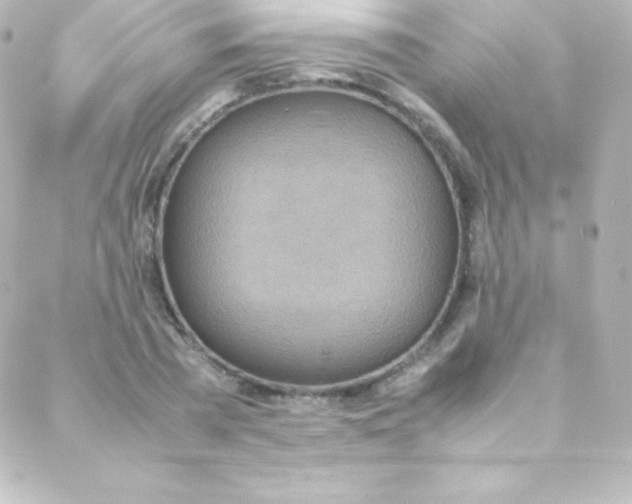 X0000088150785200705291421