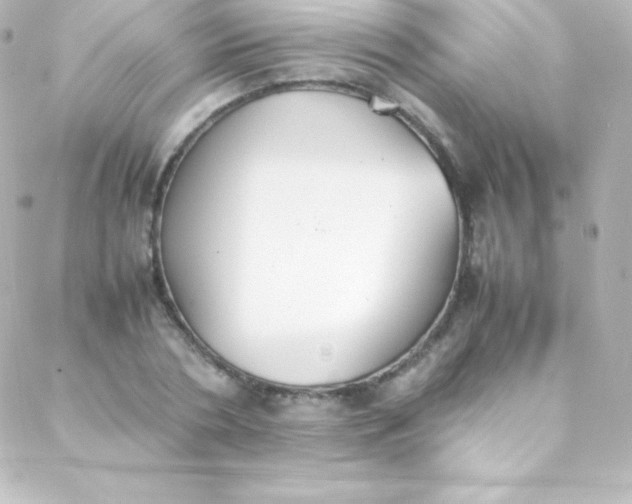 X0000088150786200705291421