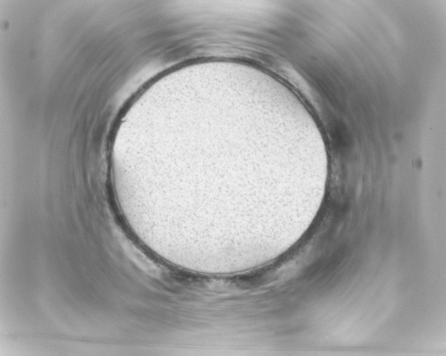 X0000088150787200705291421