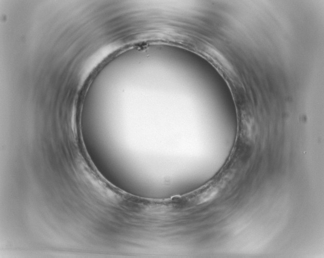 X0000088150788200705291421