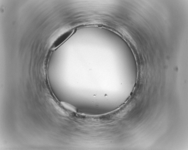 X0000088150789200705291421