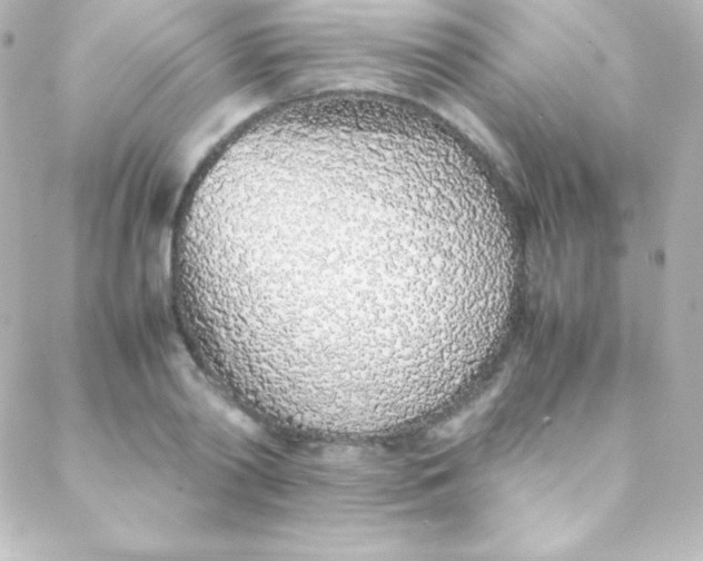 X0000088150790200705291421