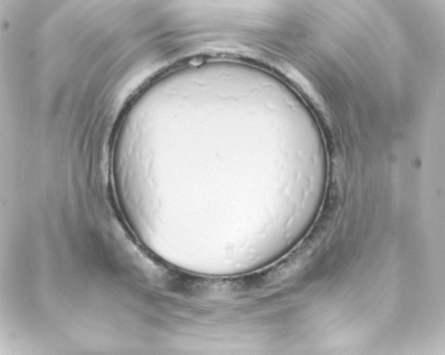 X0000088150791200705291421