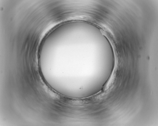 X0000088150792200705291421