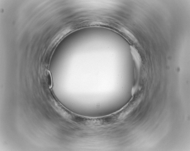 X0000088150793200705291421