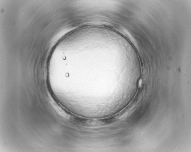 X0000088150795200705291421