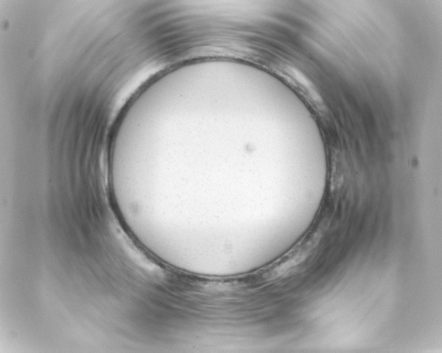 X0000088150796200705291421