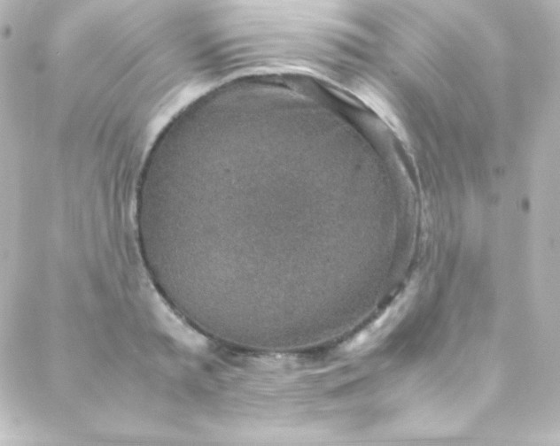 X0000088150797200705291421