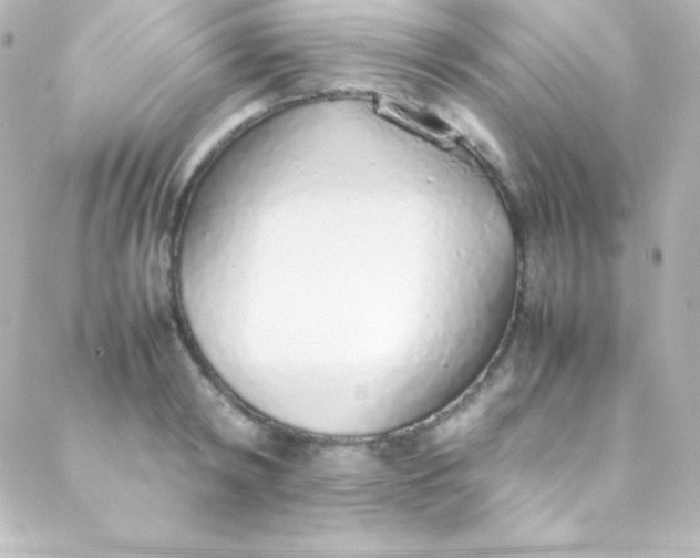 X0000088150798200705291421