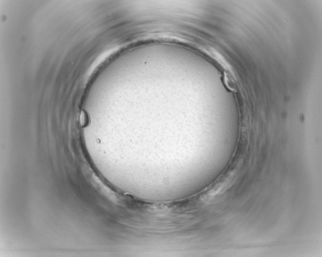 X0000088150799200705291421