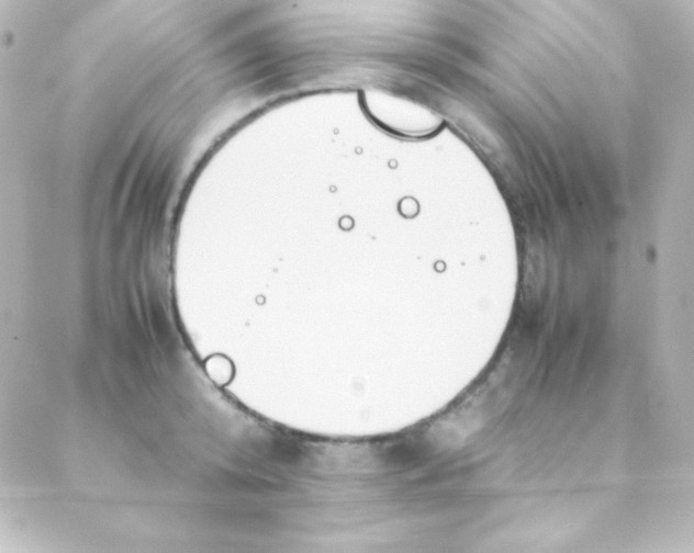 X0000088150800200705291421