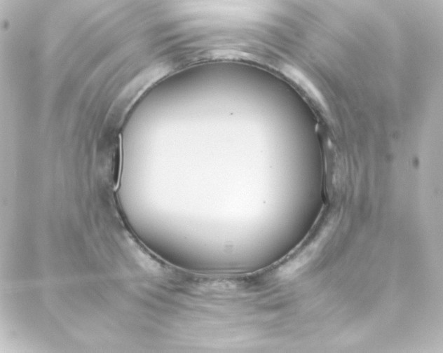 X0000088150801200705291421