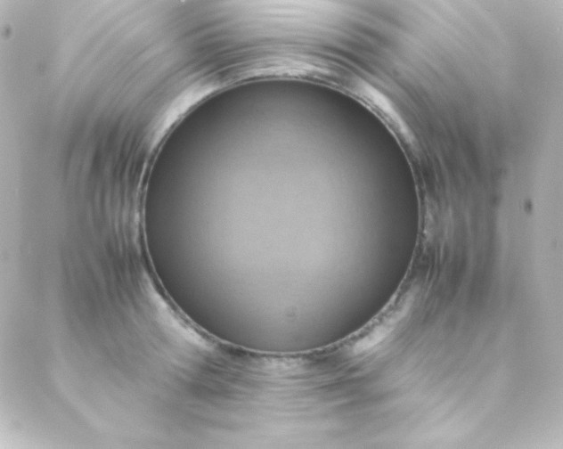 X0000088150802200705291421