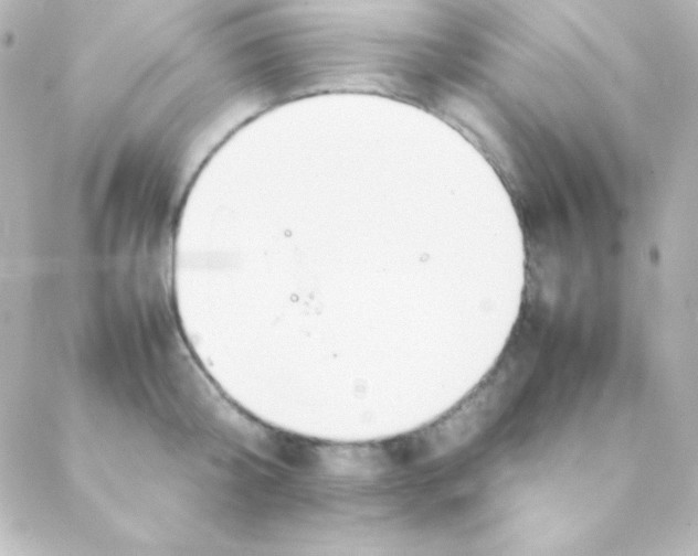 X0000088150804200705291421