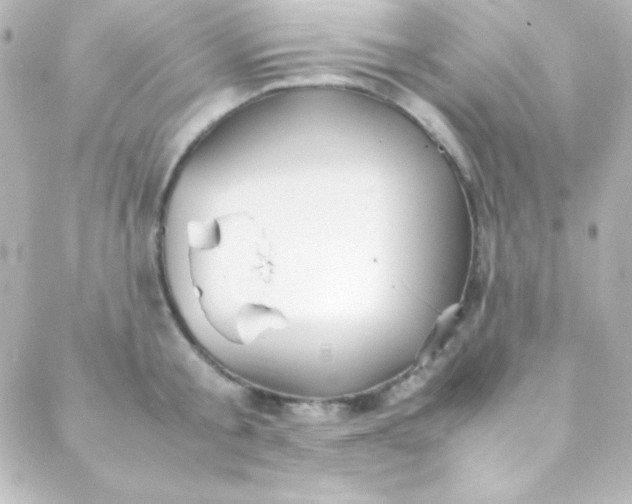 X0000088150805200705291421