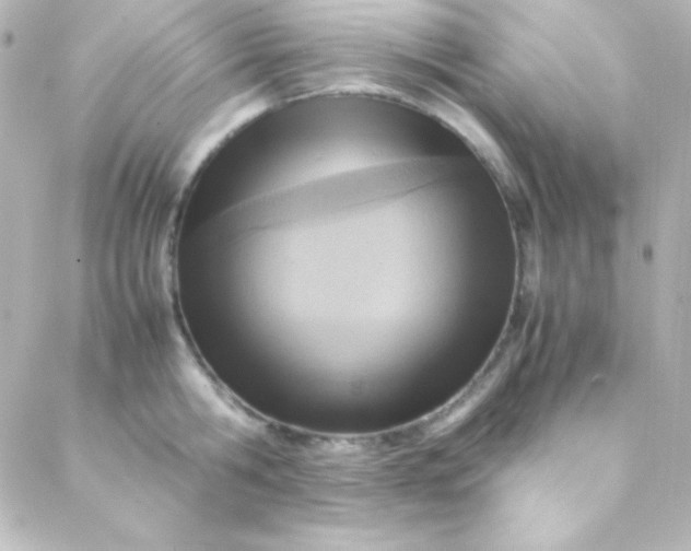 X0000088150806200705291421