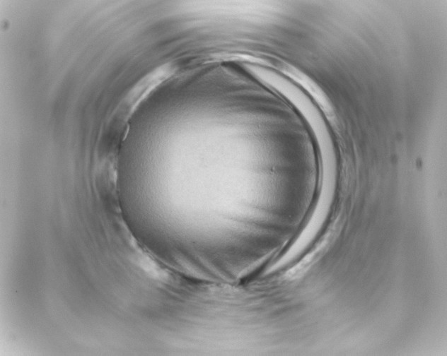 X0000088150809200705291421