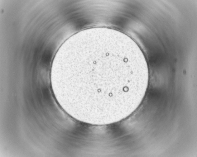 X0000088150810200705291421