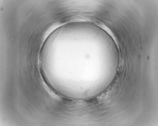 X0000088150811200705291421