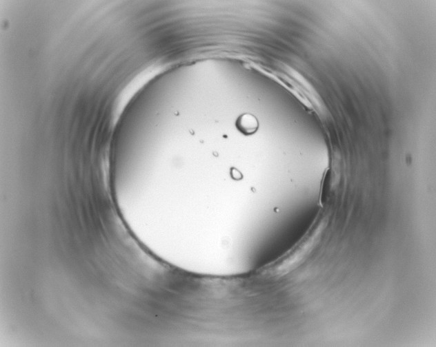 X0000088150812200705291421