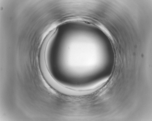 X0000088150813200705291421