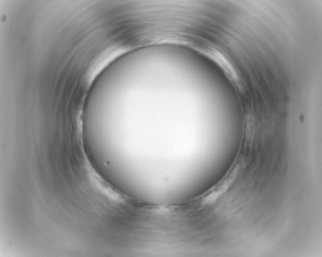 X0000088150814200705291421