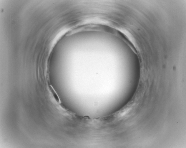 X0000088150815200705291421