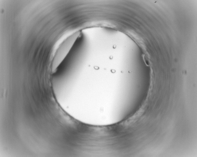 X0000088150816200705291421