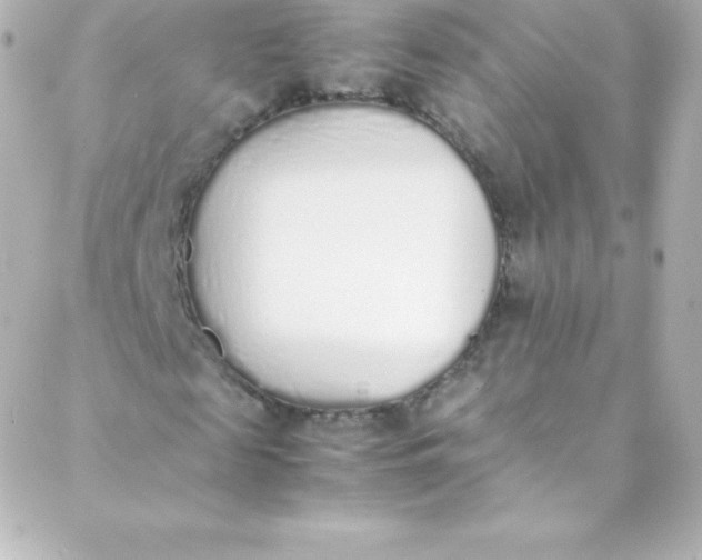 X0000088150817200705291420