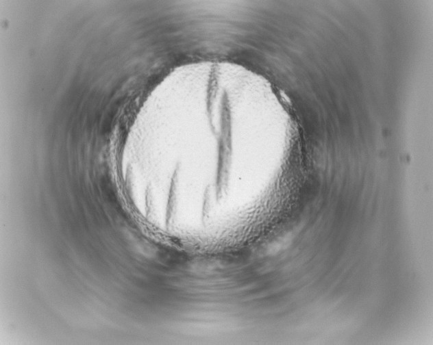 X0000088150818200705291420