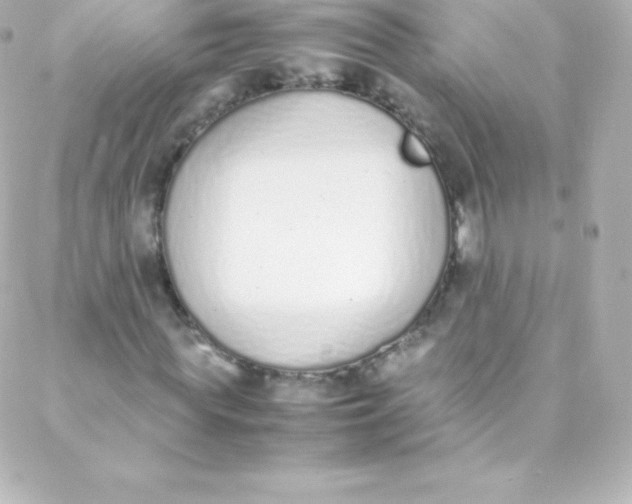 X0000088150819200705291420