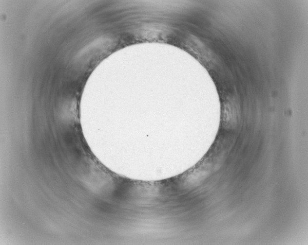 X0000088150820200705291420