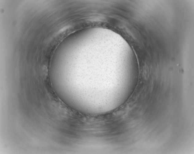 X0000088150821200705291420