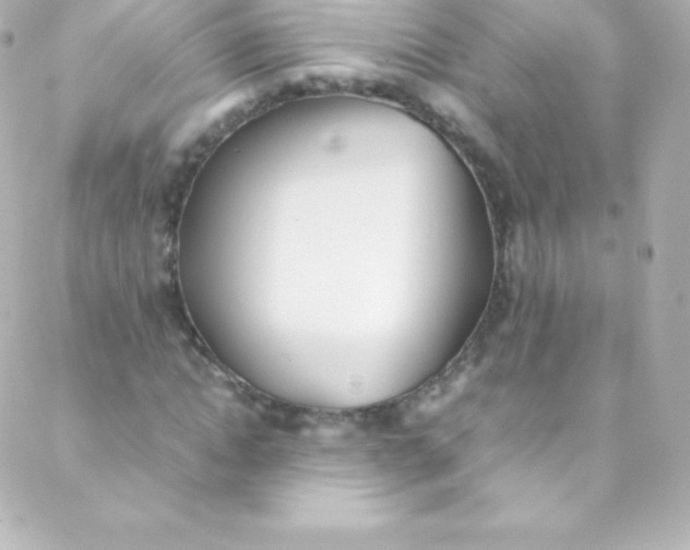 X0000088150822200705291420