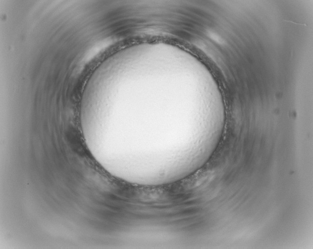 X0000088150823200705291420