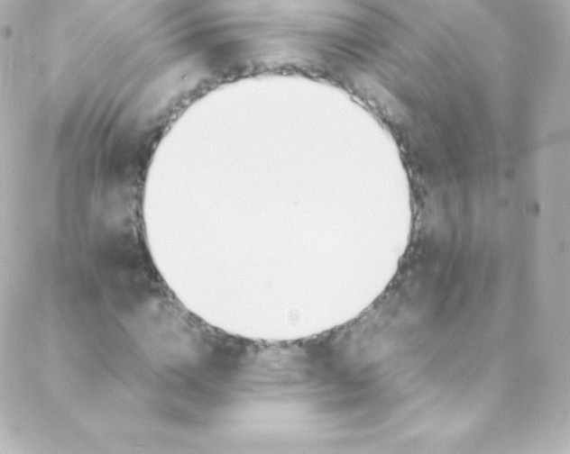 X0000088150824200705291420