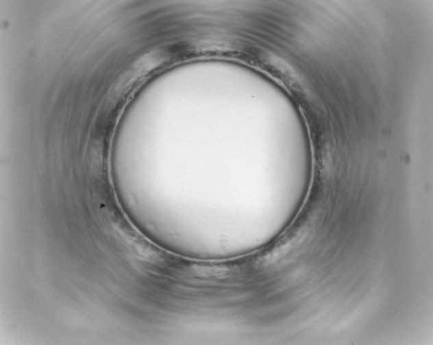 X0000088150825200705291420