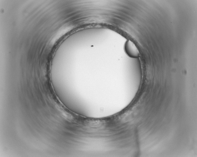 X0000088150826200705291420