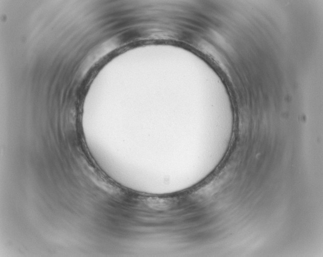 X0000088150827200705291420