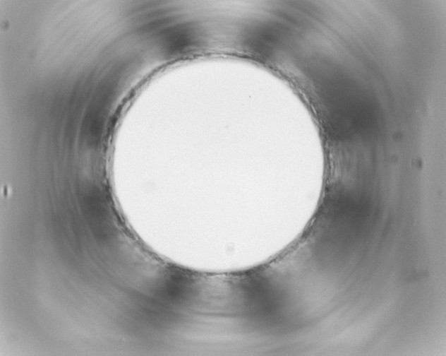 X0000088150828200705291420