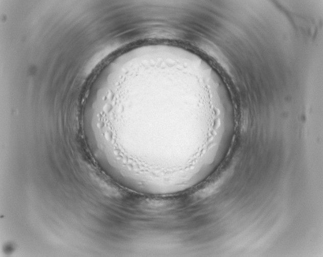 X0000088150829200705291420