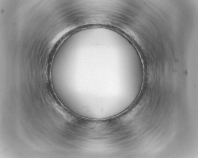 X0000088150830200705291420